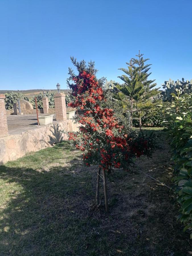 Villetta Immersa Nel Verde Piazza Armerina Exteriör bild